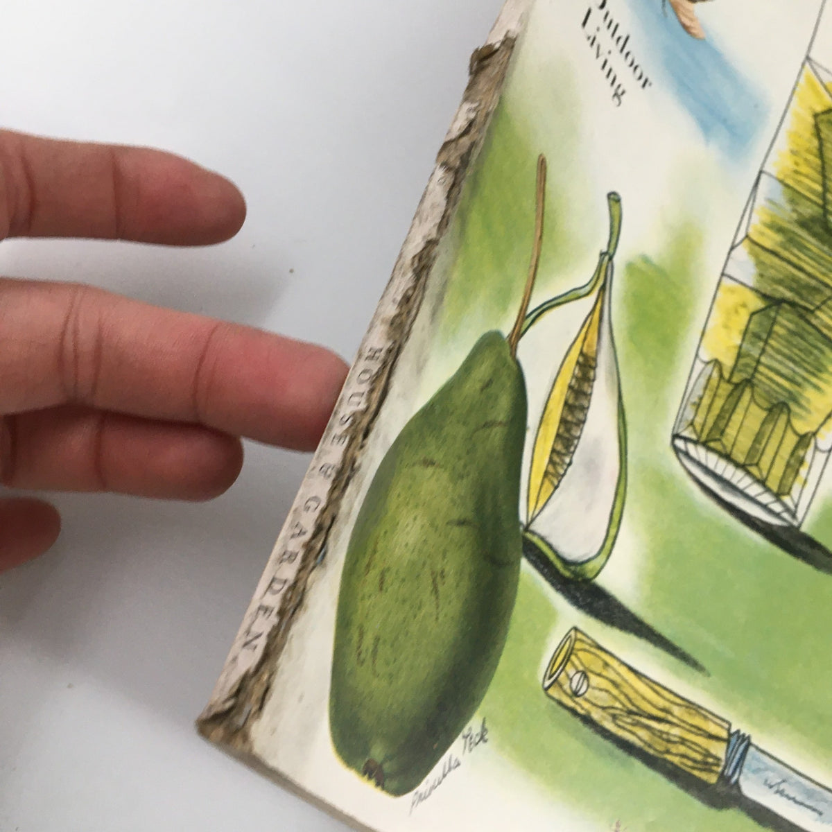 Detail of the binding on VTG House & Garden Magazine June 1946 Summer the Country Over, showing minor wear with a pear illustration.