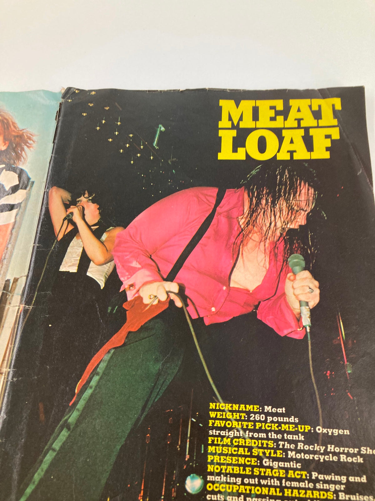Feature article in VTG Marvel Comics Pizzazz Issue 10 July 1978 showcasing singer Meat Loaf, including nickname and weight details. No Label.