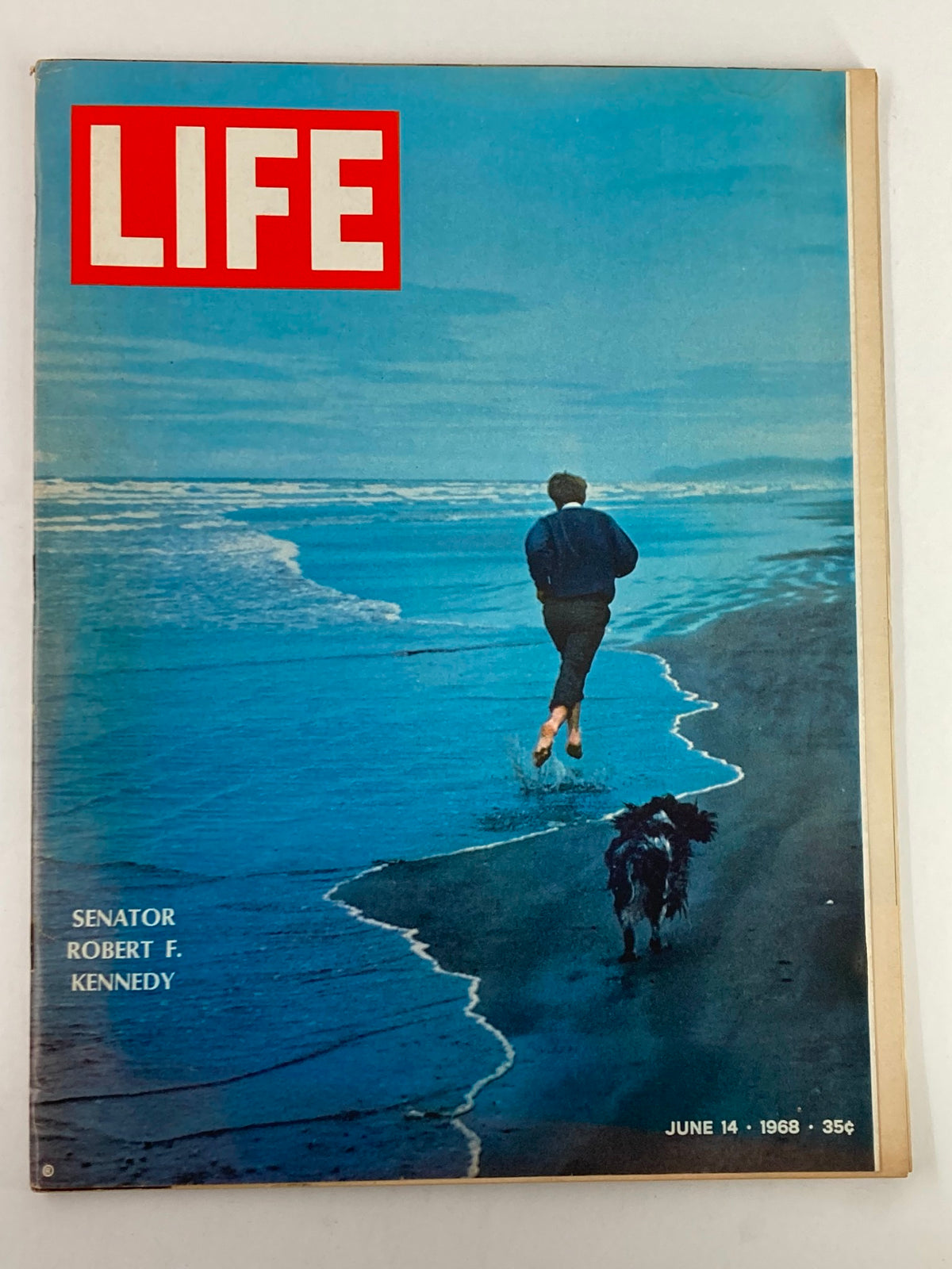 Cover of the VTG Life Magazine dated June 14, 1968, featuring an iconic image of Senator Robert F. Kennedy walking on a beach with a dog. The magazine showcases the historical context of the late 1960s.