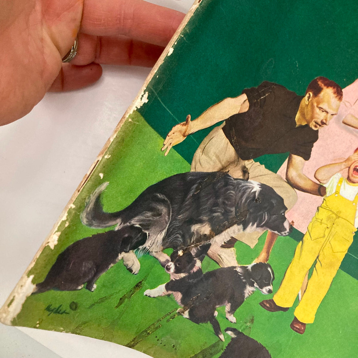 Image of the illustrated cover of Saturday Evening Post magazine, October 6, 1951, featuring an artistic depiction of a man, woman, and puppies created by George Hughes in vibrant colors.