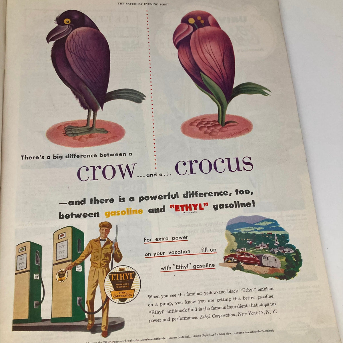 Advertisement in the Saturday Evening Post September 29 1951, comparing Crow and Crocus while promoting 'Ethyl' gasoline, featuring vibrant illustrations.