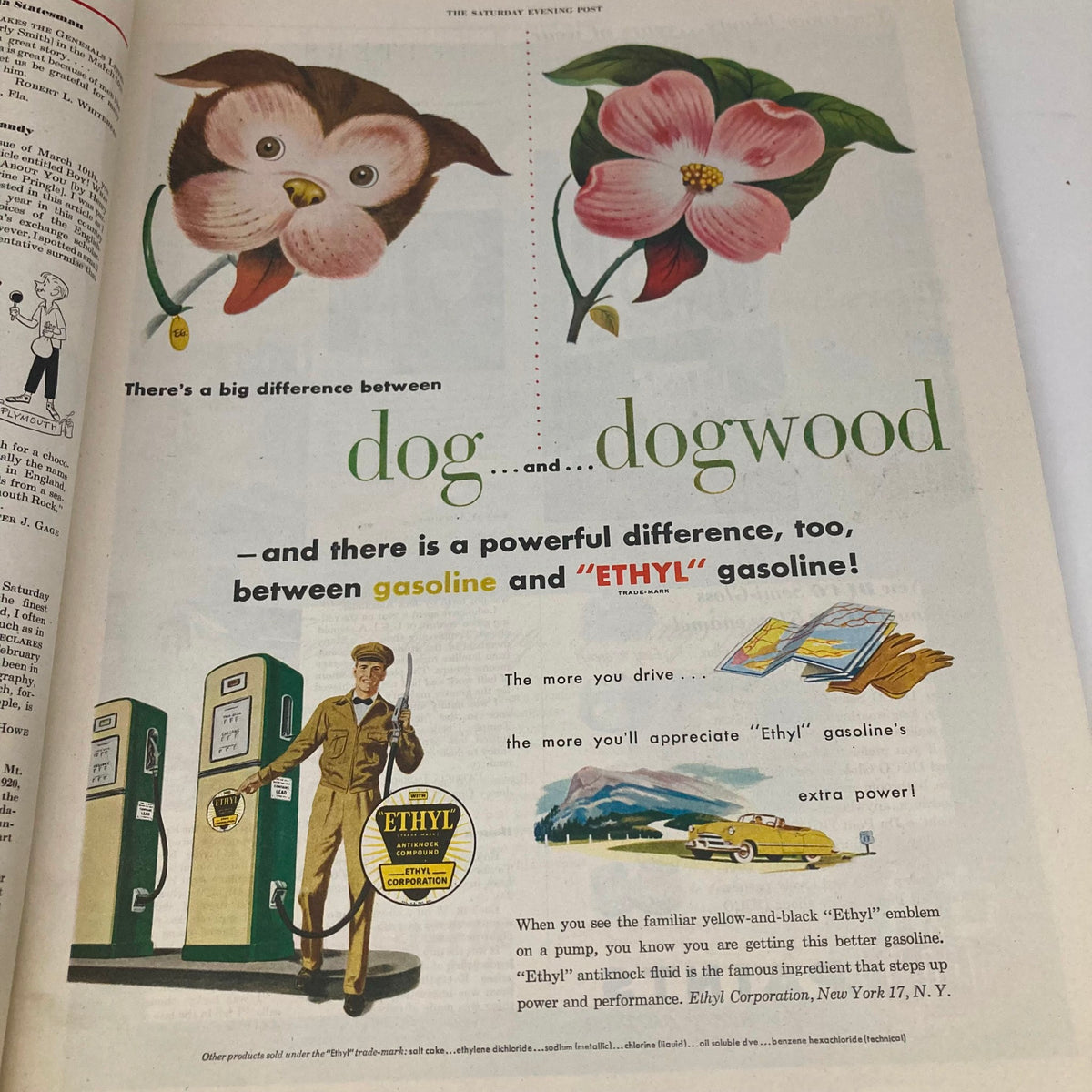 Advertisement page in Saturday Evening Post Magazine April 14, 1951, illustrating a whimsical dog and flower comparison for Ethyl gasoline.