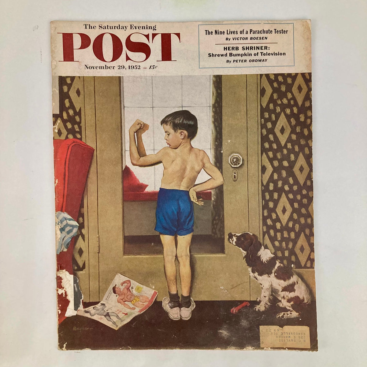 Cover of Saturday Evening Post Magazine, November 29, 1952, featuring a boy showcasing muscle-building with a humorous portrait and a dog nearby.