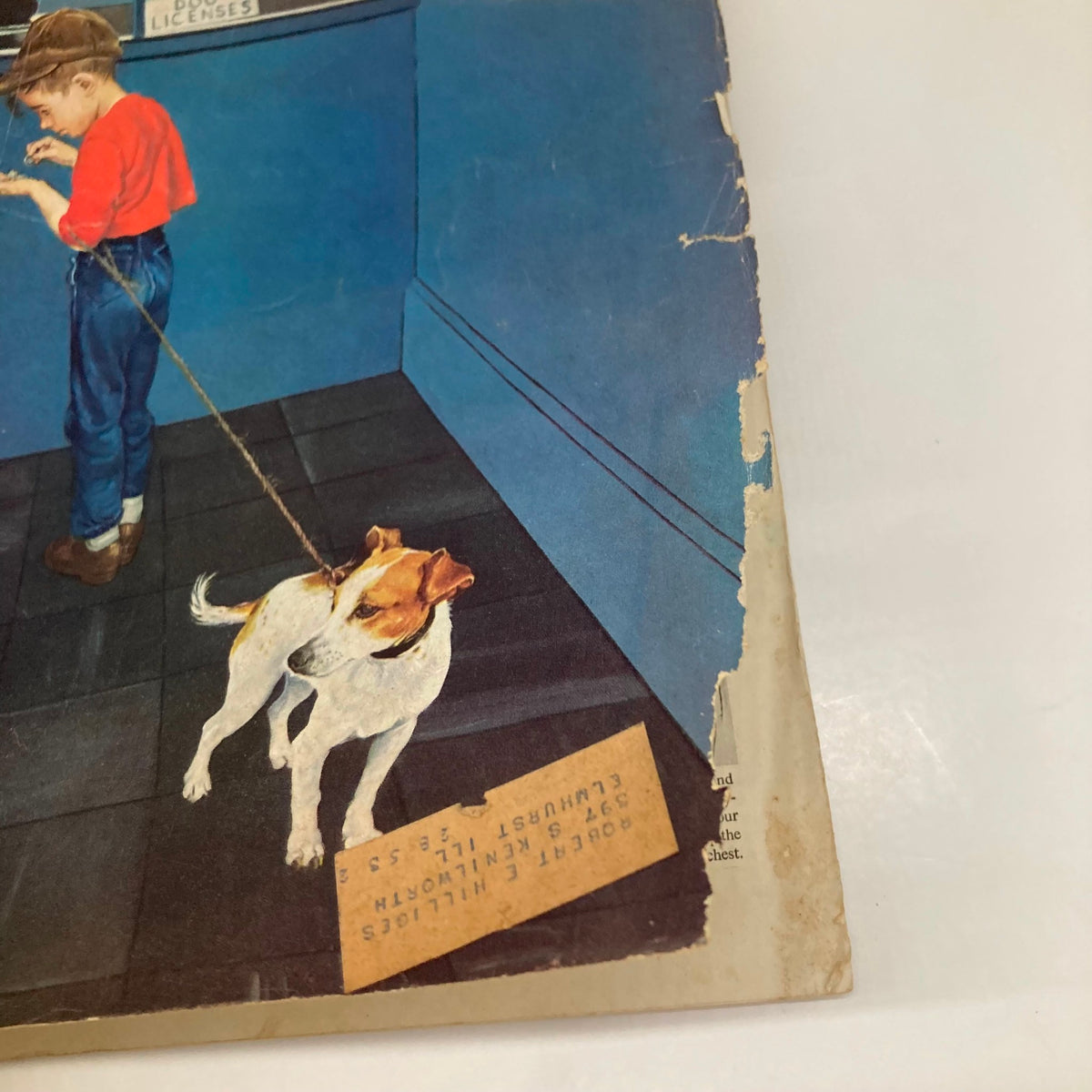 Close-up view of the Saturday Evening Post Magazine cover from June 21, 1952, showcasing the boy and dog, highlighting the vintage artwork by Hughes.