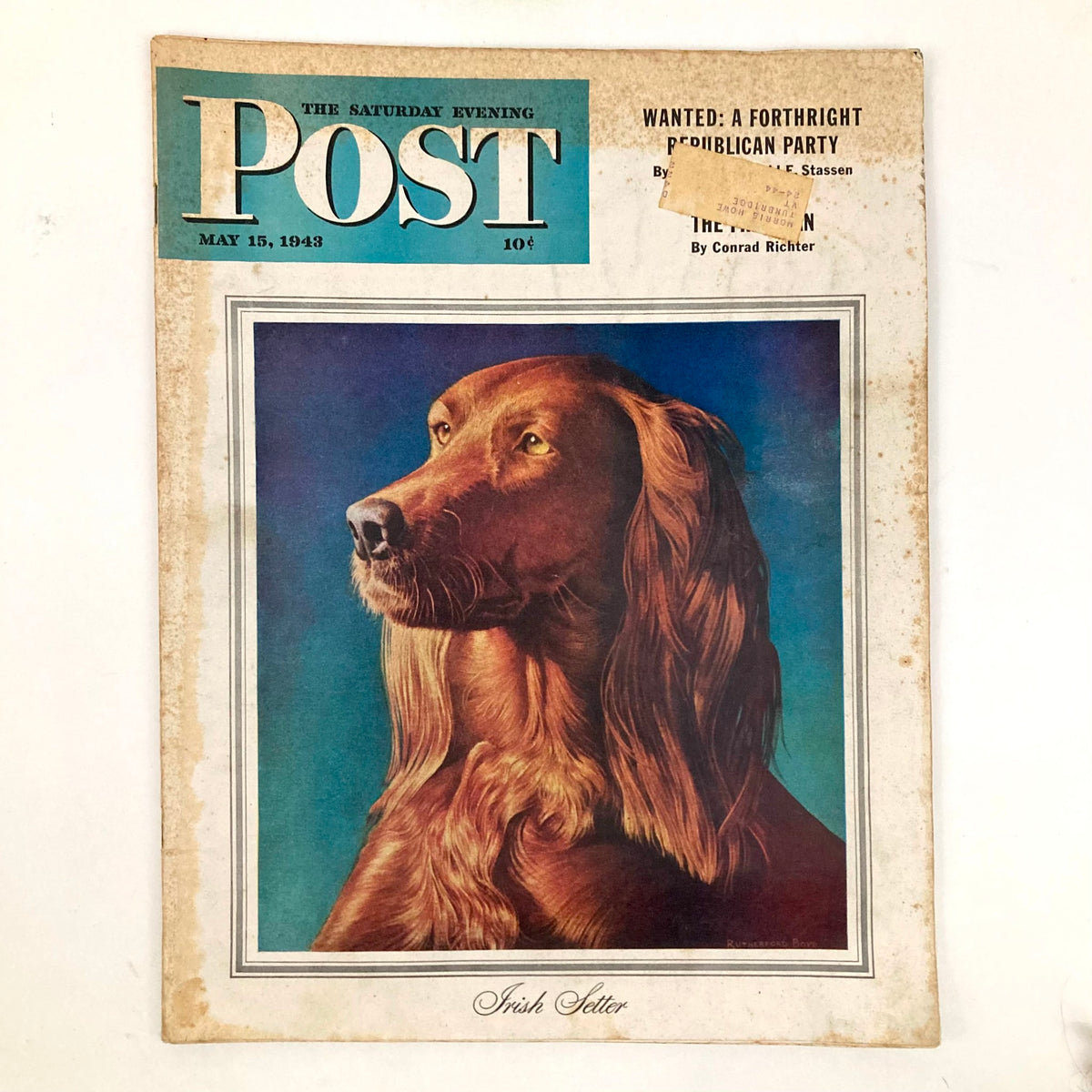 Saturday Evening Post Magazine Cover May 15 1943 featuring an illustrated portrait of an Irish Setter dog by artist Rutherford Boyd.