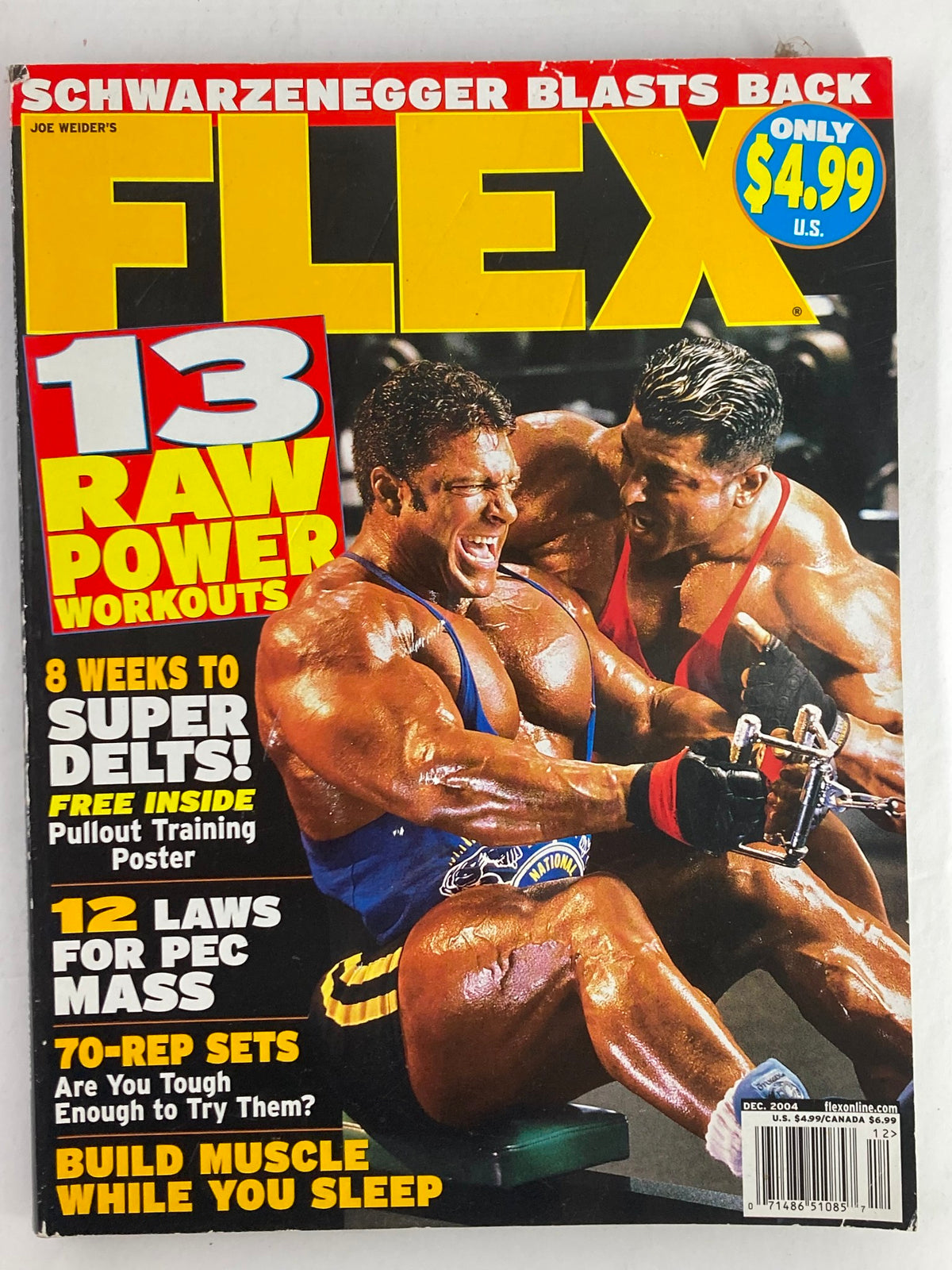 Cover of Flex Magazine December 2004 Vol 22 #10 featuring bodybuilder Gunter Schlierkamp and highlighting fitness topics like '13 Raw Power Workouts' and 'Build Muscle While You Sleep'.