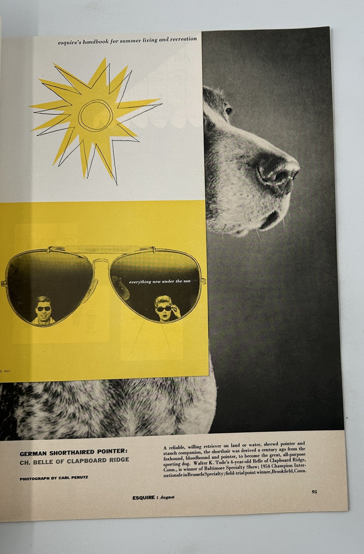 Esquire Magazine August 1956 page highlighting a photograph of a German Shorthaired Pointer surrounded by a sun graphic, illustrating summer living and recreation.