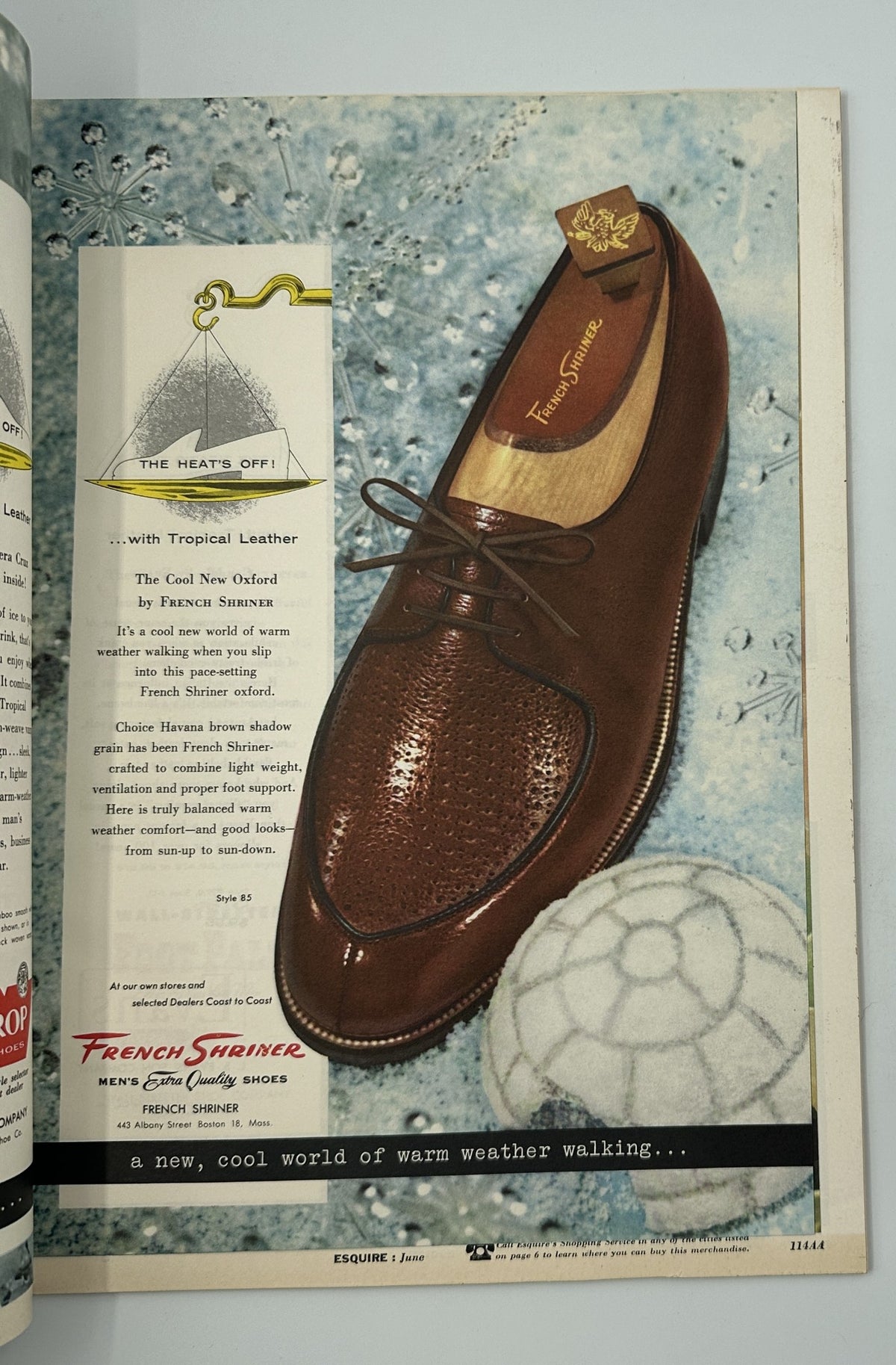 Ad for French Shriner shoes featured in Esquire Magazine June 1956, showcasing stylish brown leather footwear.