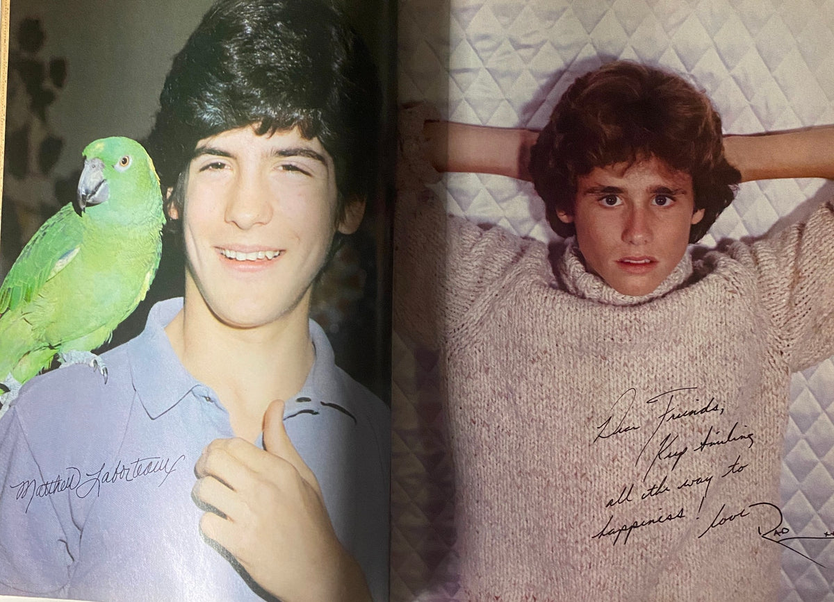 Double-page spread from Tiger Beat Magazine June/July 1981 featuring Matthew Laborteaux alongside another young actor, capturing the essence of 80s teen celebrity culture.
