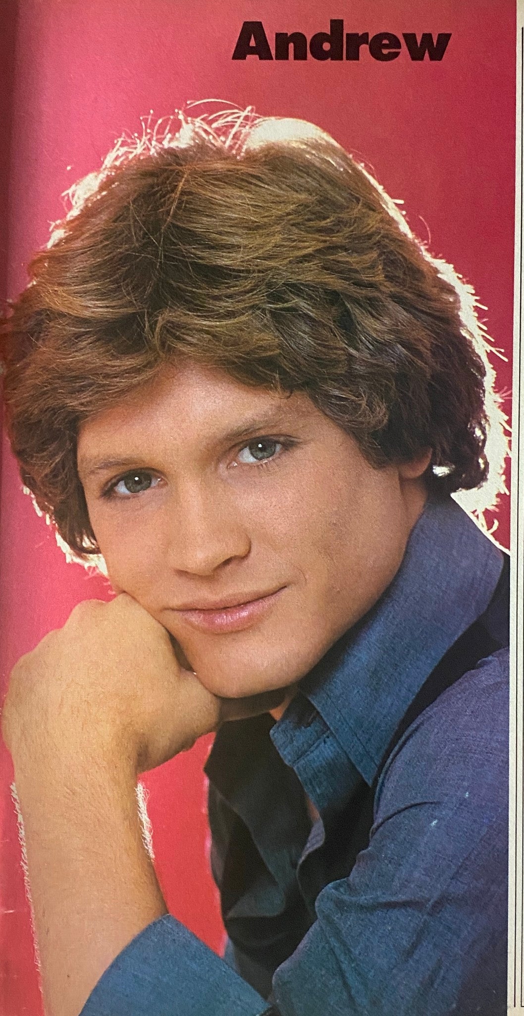 Vintage photo of Andrew Stevens featured in Tiger Beat Star Magazine August 1982, showcasing the charm of 80s pop culture.