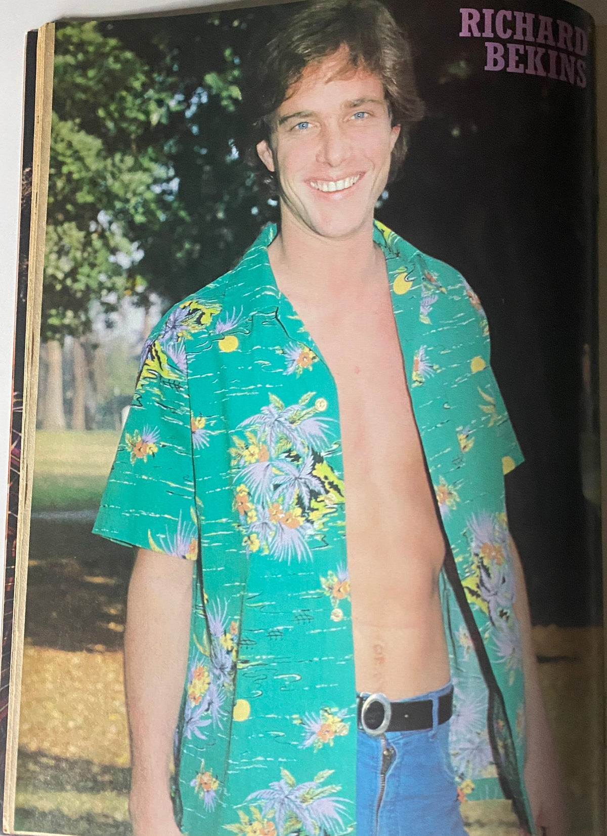 Bright photograph of Richard Bekins in a tropical shirt, featured in Tiger Beat Star Magazine August 1981, known for his work in soap operas.