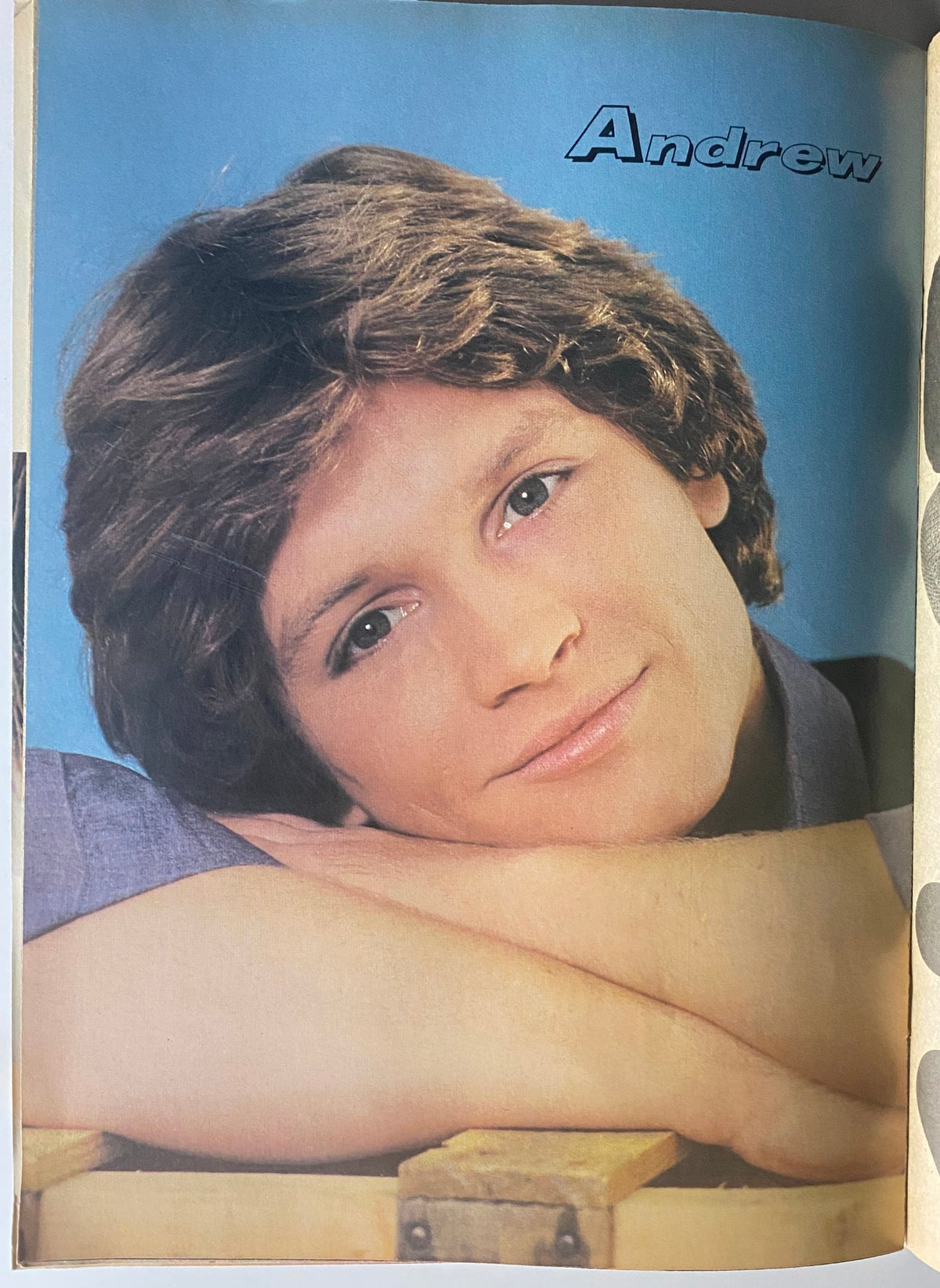 Profile photo of Andrew Stevens featured in Tiger Beat Star Magazine July 1982, showcasing the popular young actors of the era.
