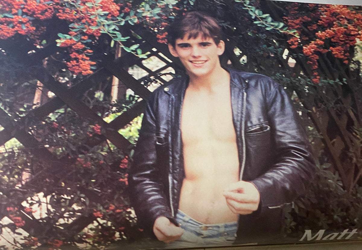 A featured photo of Matt Dillon from Tiger Beat Star Magazine November 1982, displaying his iconic 1980s teen heartthrob look.