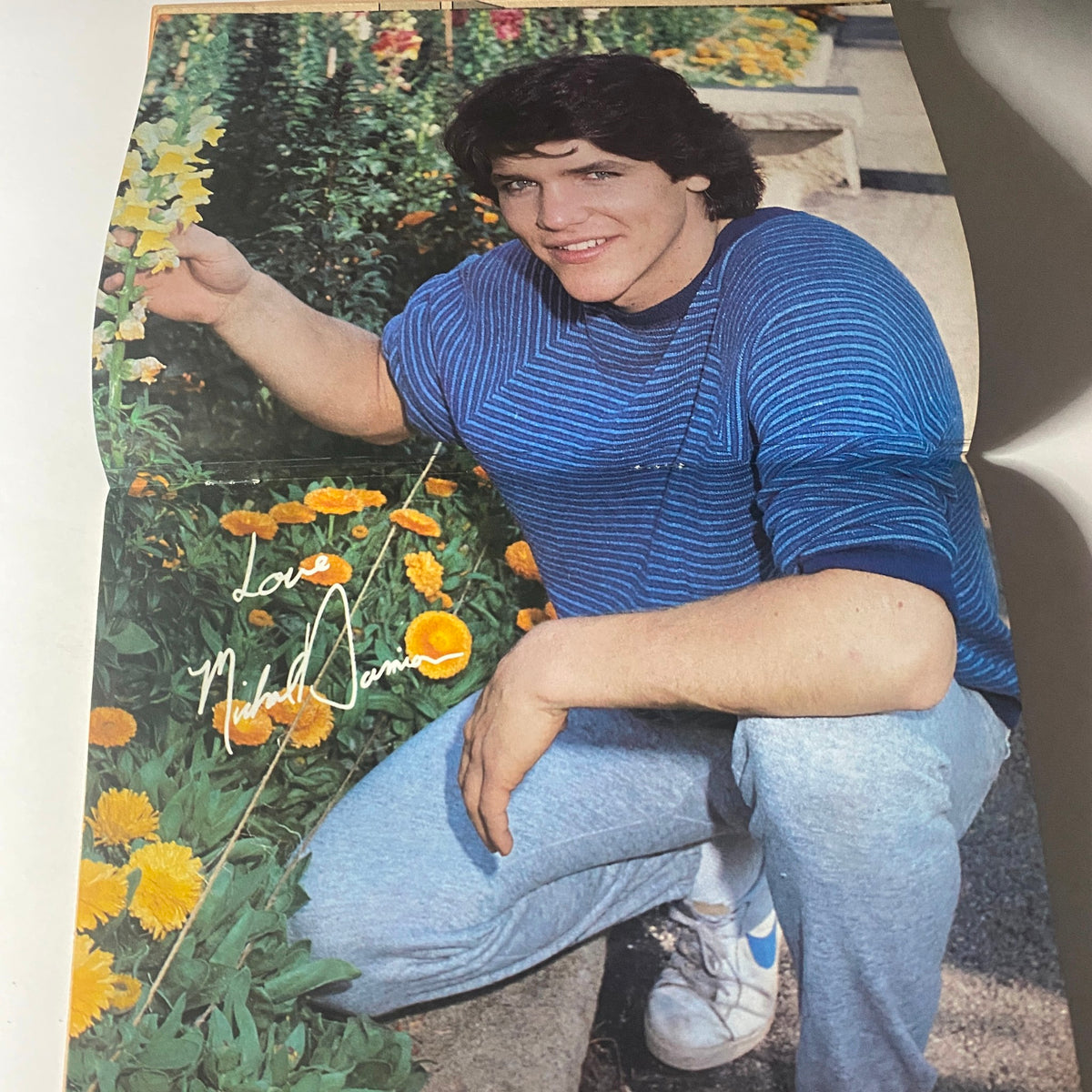 Michael Damian in Tiger Beat Star Magazine February 1982, posing with flowers, exuding a relaxed vibe in a striped blue shirt.