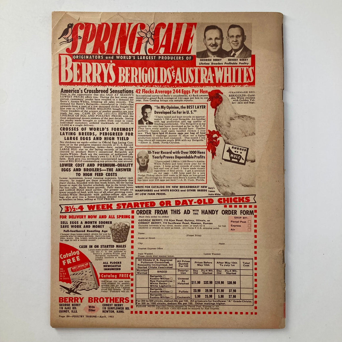 Cover page of Poultry Tribune Magazine April 1951 highlighting a spring sale advertisement for Berry's Berigolds and Austra-Whites, focusing on poultry breeding and egg production.
