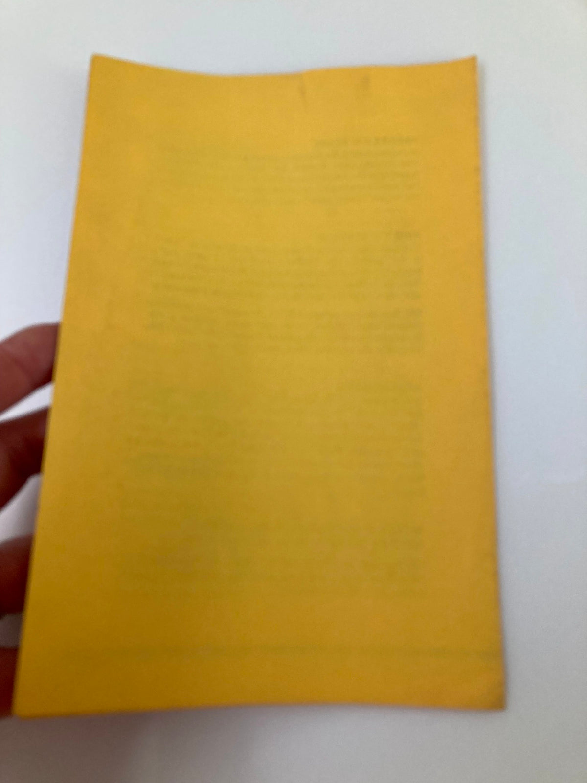 Back cover of the 1963 Royal Court Repertory playbill for 'The Tulip Tree', featuring a simple yellow design.