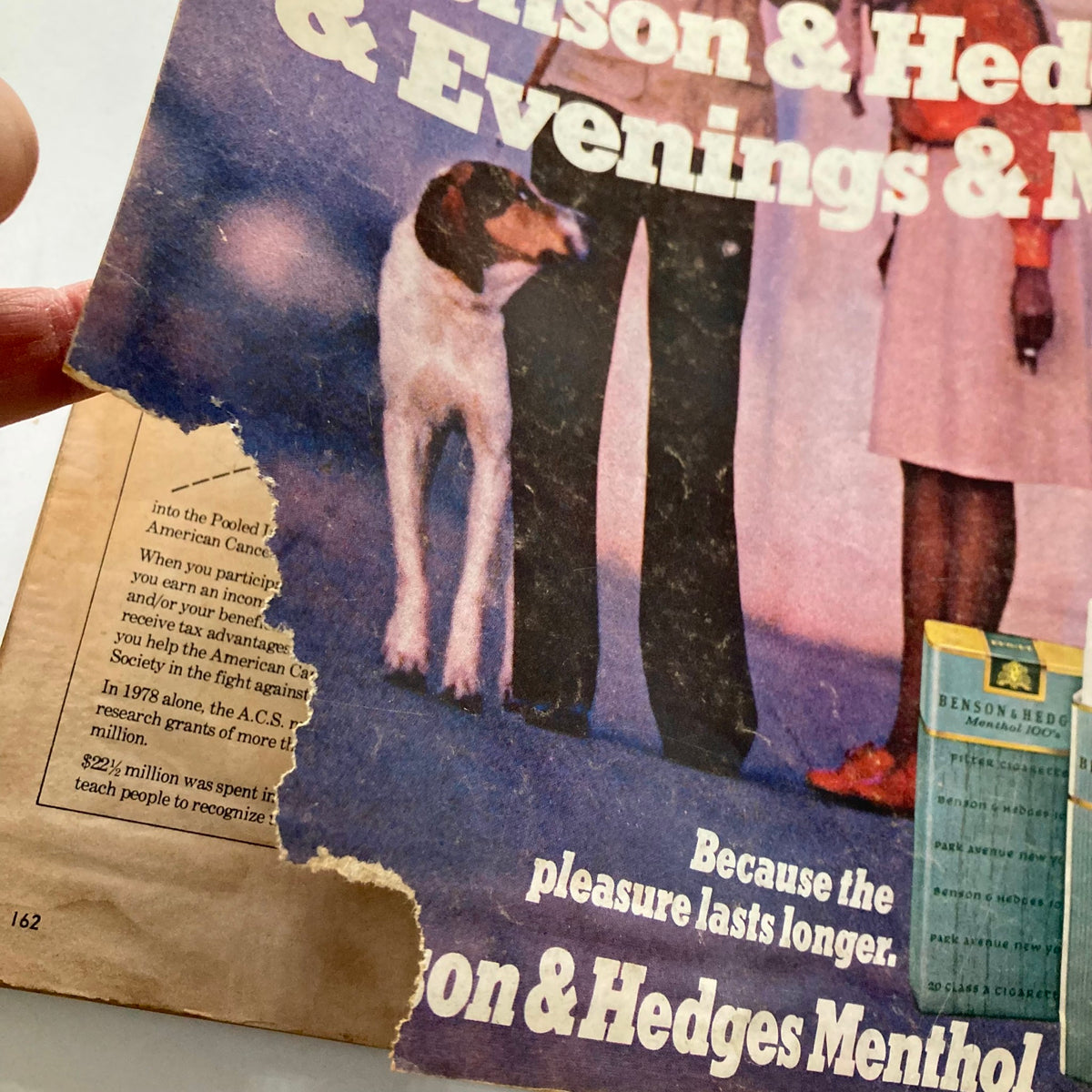 Close-up of the vintage Benson & Hedges cigarette advertisement showing a couple standing together with a dog, highlighting the text 'Because the pleasure lasts longer'. This image is part of the VTG Ebony Magazine June 1981 titled 'Has Success Spoiled Jesse Jackson GD Interior'.