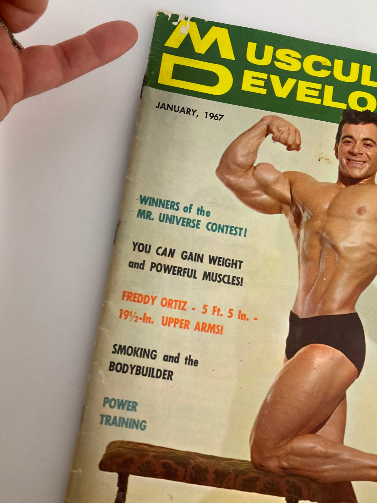 Close-up of VTG Muscular Development Magazine January 1967 covering text details about winners of Mr. Universe contest and bodybuilding tips featuring Freddy Ortiz.