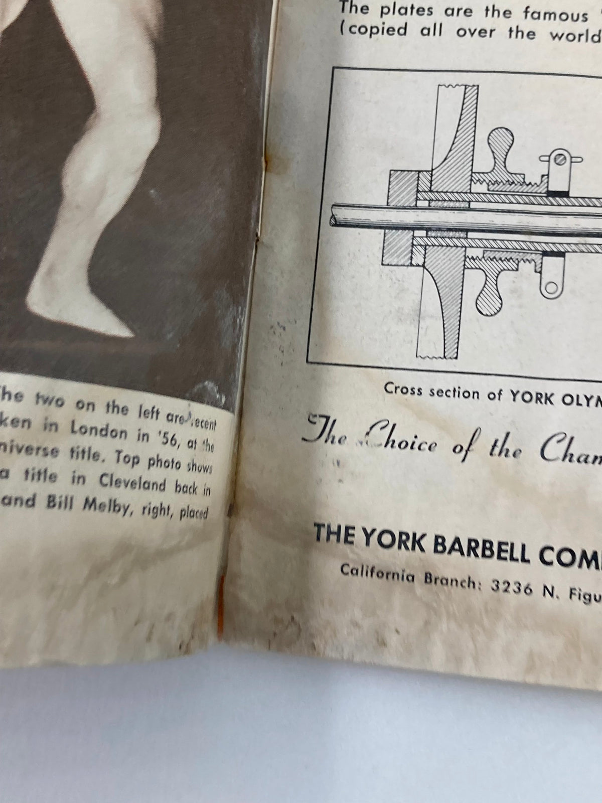 Another interior page from the VTG Muscular Development Magazine February 1966 showcasing a photograph of bodybuilders alongside a York Barbell Company advertisement.