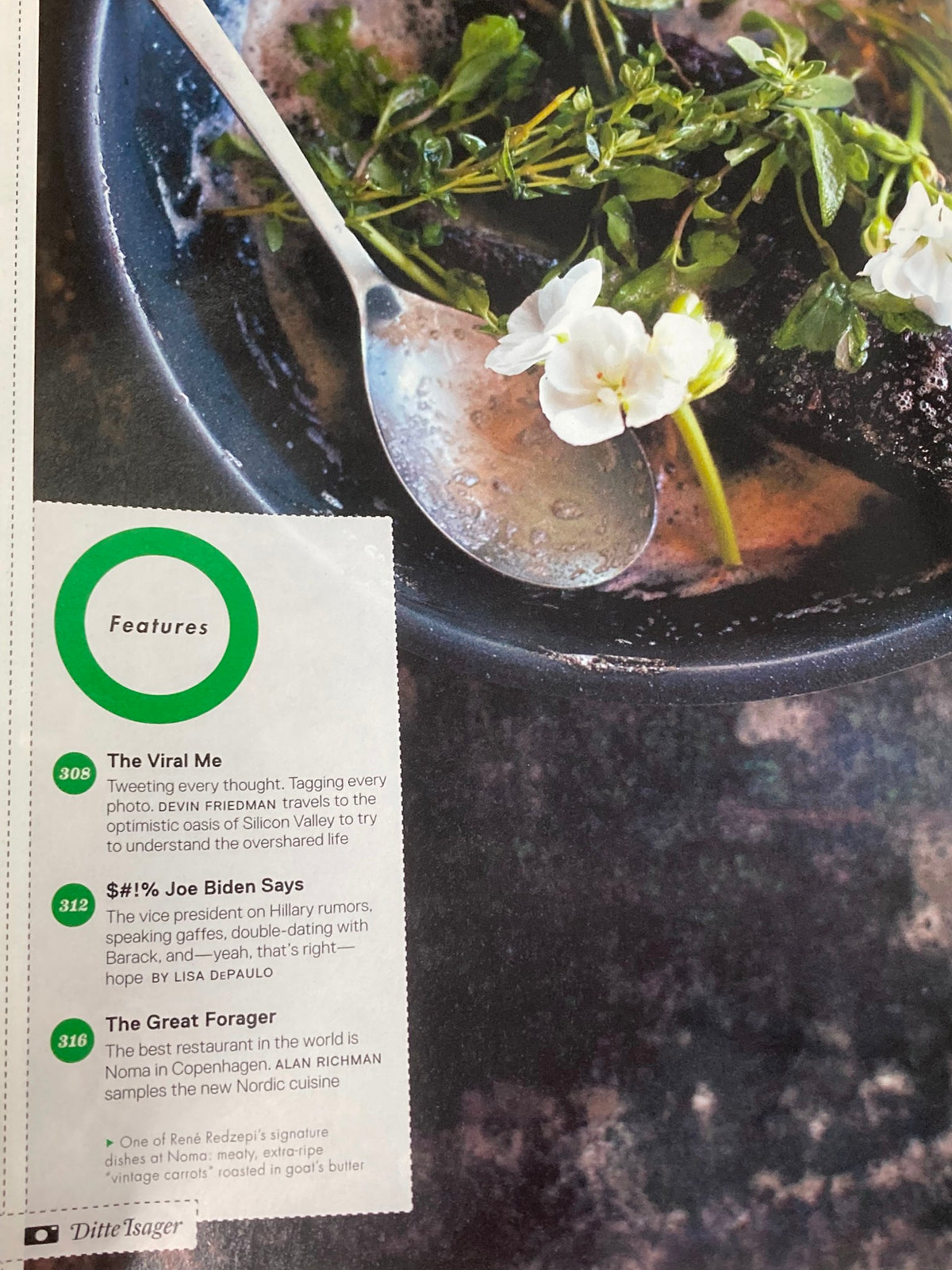 Inside GQ Magazine December 2010, an article featuring dishes and plants, reflecting a culinary theme from the issue.