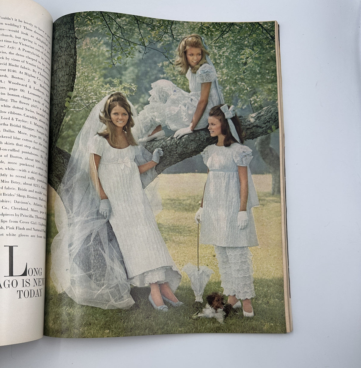 An editorial photo from Bride's Magazine December/January 1967-68 featuring bridesmaids in elegant white dresses posed by a tree, showcasing vintage wedding styles and bridal aesthetics.