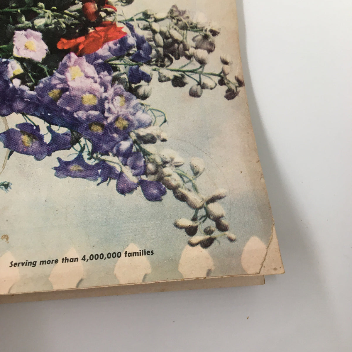 Detailed view of flowers on the cover of VTG Family Circle Magazine May 1955, capturing the essence of vintage summer styles and nostalgia.