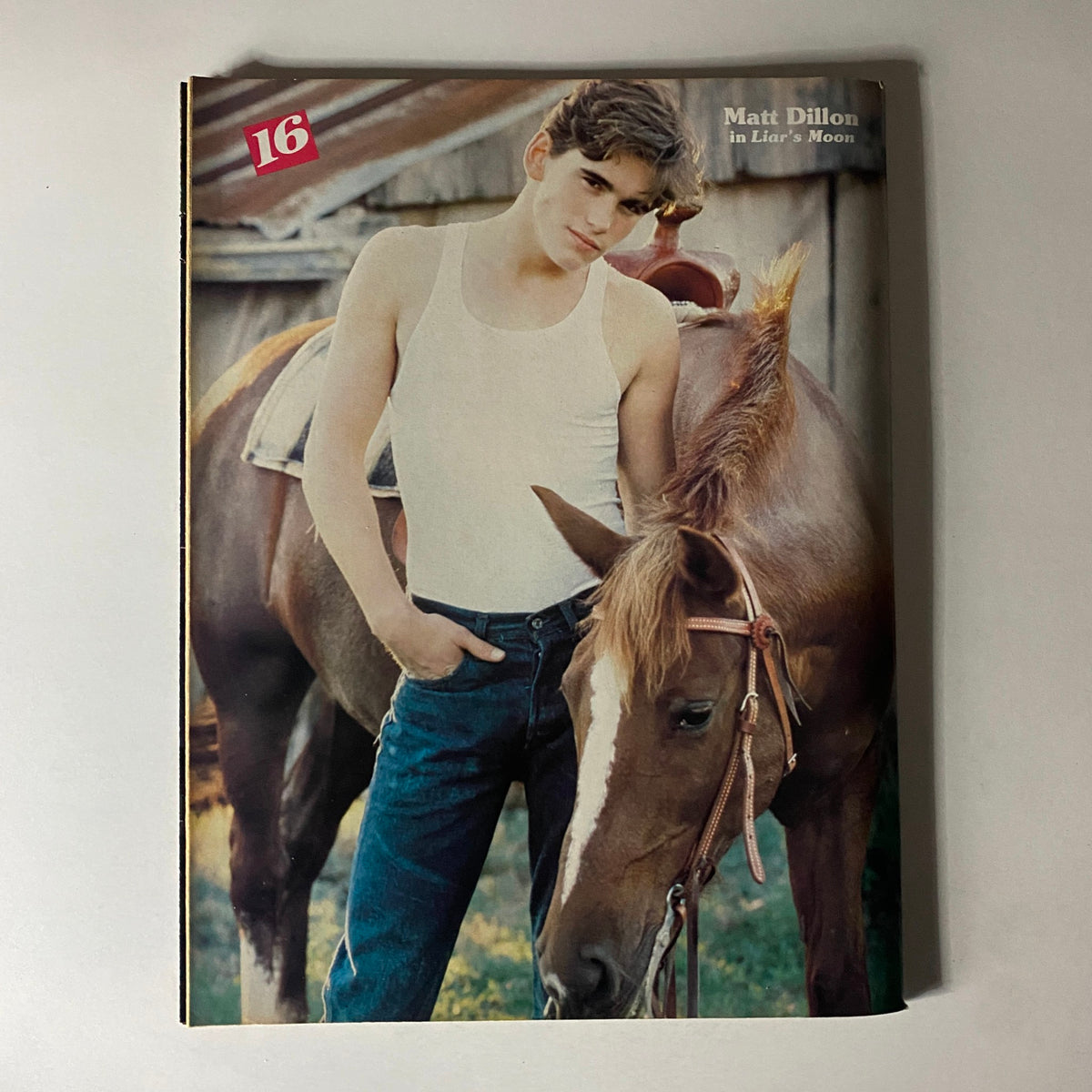 Cover of 16 Magazine May 1981 featuring Matt Dillon posing with a horse, part of a vintage collectible magazine with iconic 1980s pop culture stars.