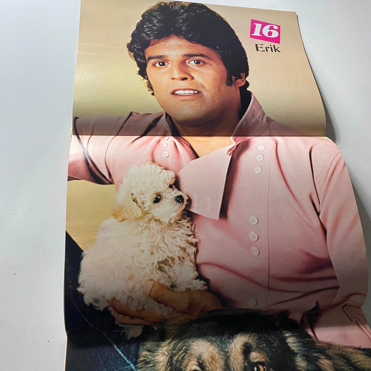 Exclusive centerfold of Erik Estrada from 16 Magazine June 1979, featuring a charming pose with a small white puppy.