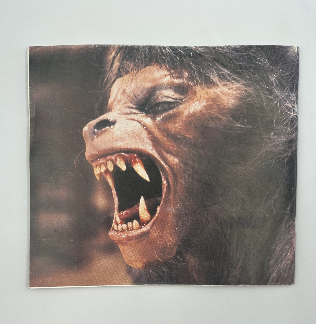 Cinefex Magazine April 1984 No. 16 illustration depicting a werewolf transformation. This image highlights the creature effects from 'An American Werewolf in London'.
