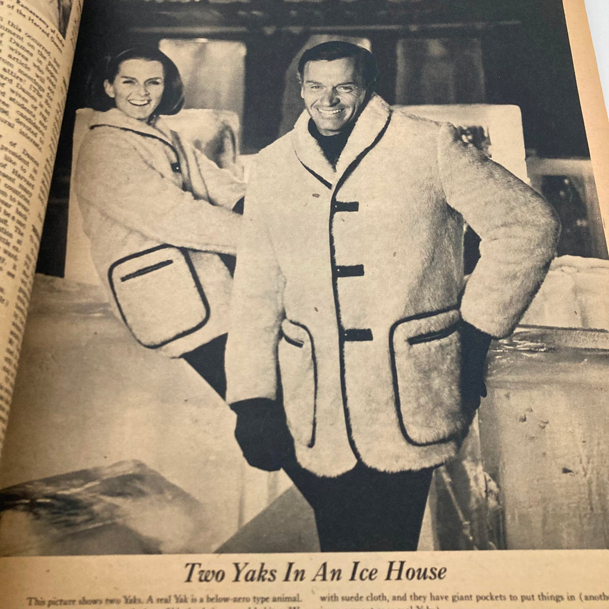 Vintage image from New York Times Magazine October 21 1962, depicting a man and woman in stylish coats, posing in an ice house with yaks.