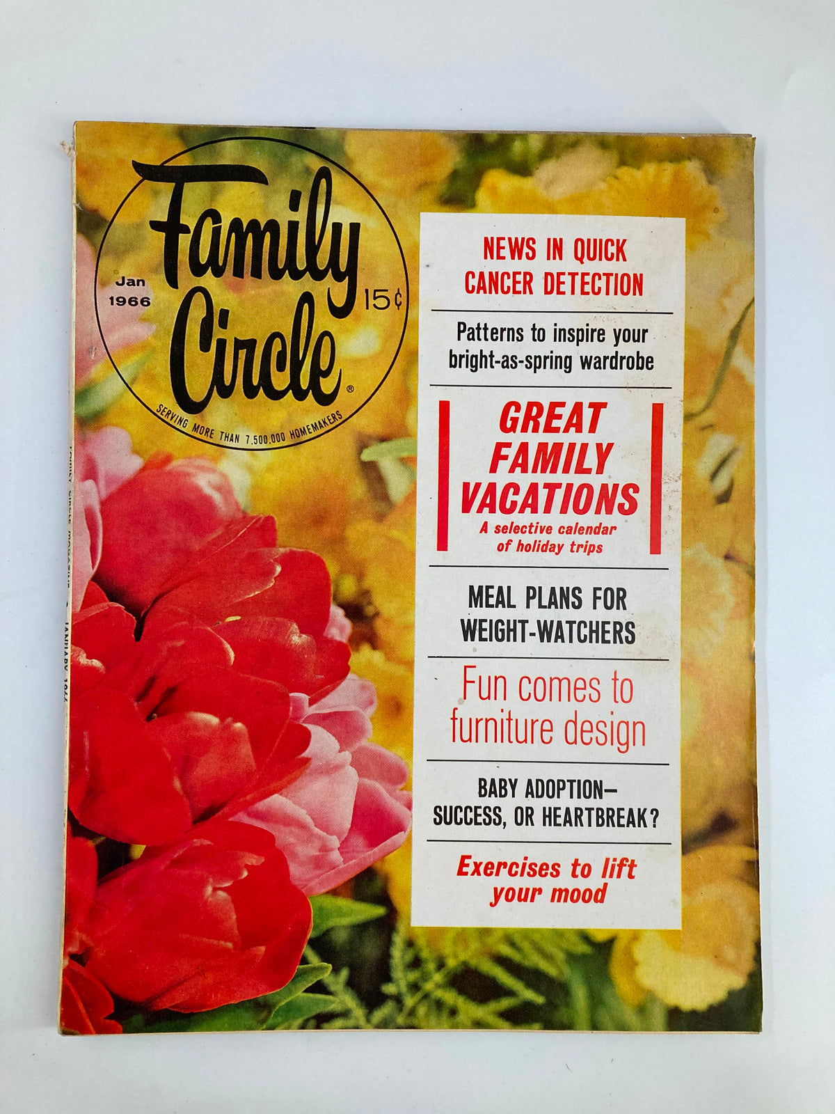 Cover of VTG Family Circle Magazine January 1966 featuring colorful flowers and articles about family vacations, furniture design, and wellness.