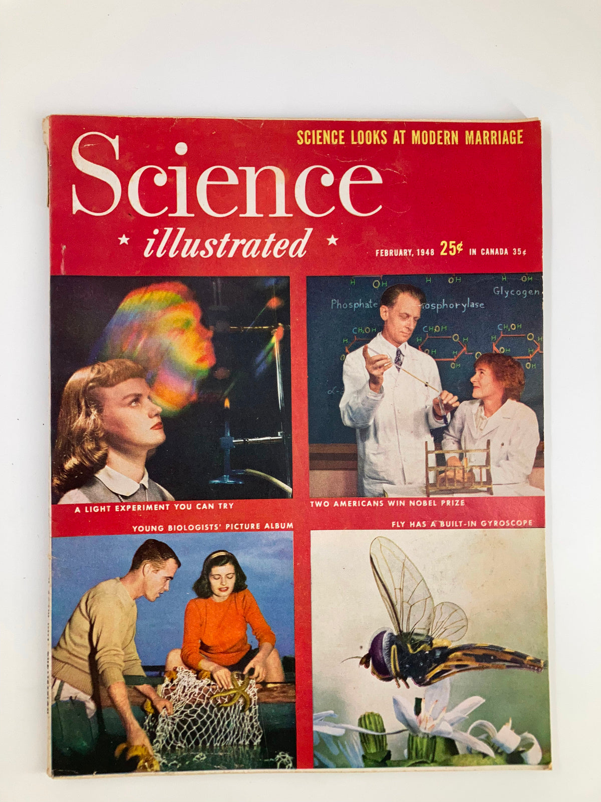 Cover of VTG Science Illustrated Magazine February 1948 featuring the topic 'Fly Has A Gyroscope' along with scientific illustrations and articles, showcasing the fusion of science and art in vintage publications.