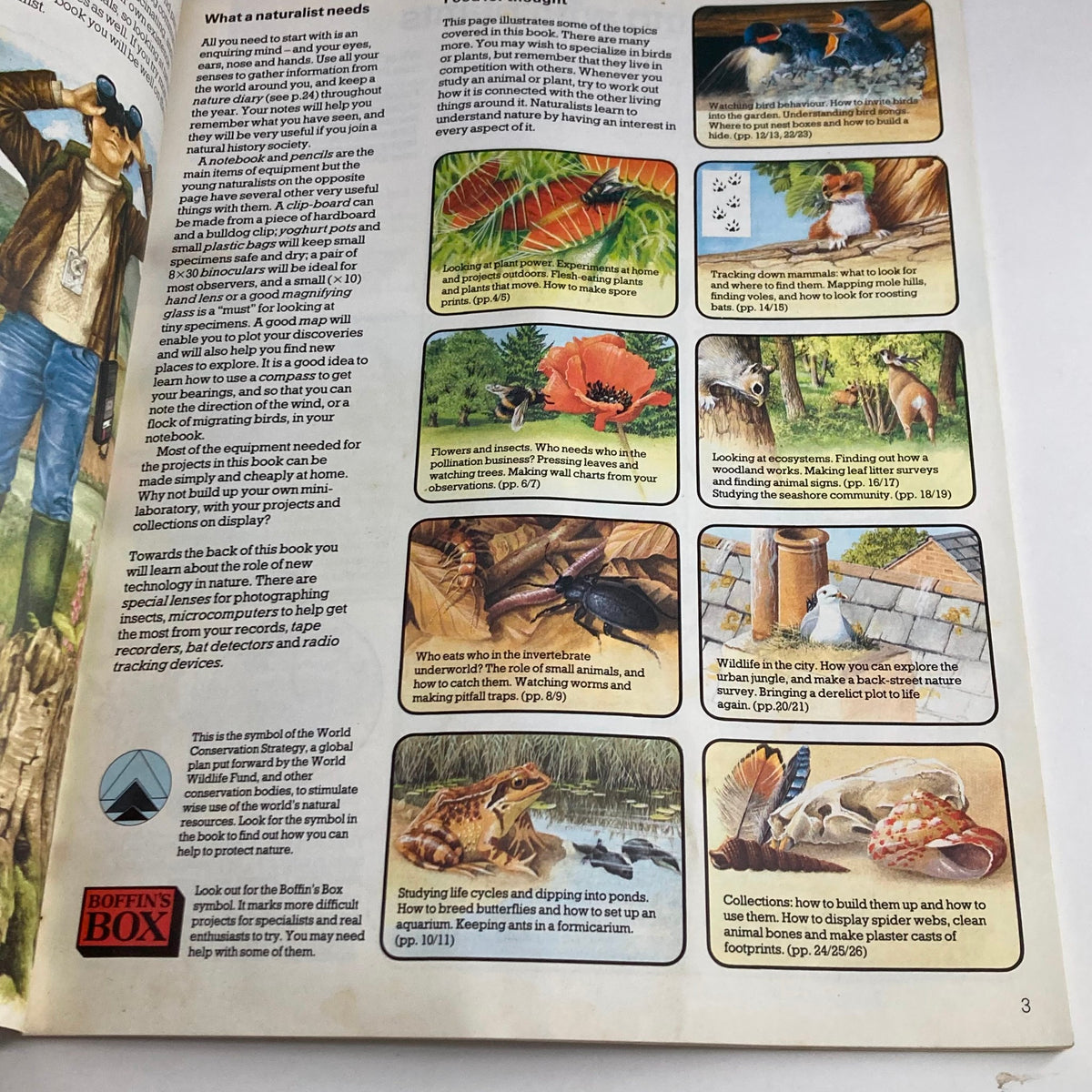 Illustration from 'The Young Naturalist: An Introduction to Nature Studies Usborne Hobby Guide' showing various aspects of nature study including examples of birds and plants.