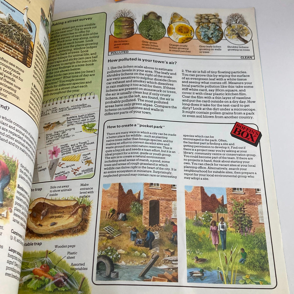 Educational page from 'The Young Naturalist: An Introduction to Nature Studies Usborne Hobby Guide' discussing environmental awareness and instructions for creating a 'Pocket Park' for nature study.