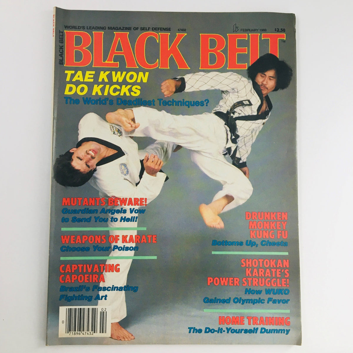 Cover of Black Belt Magazine February 1988 Vol 26 #2 featuring images of martial artists practicing techniques, highlighting Drunken Monkey Kung Fu and Tae Kwon Do Kicks, a significant vintage publication in martial arts history.