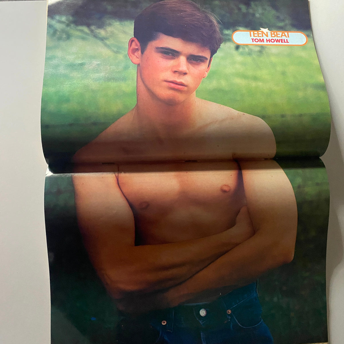 Poster of Tom Howell from Teen Beat Magazine January 1984, showcasing a shirtless portrait. A great representation of 1980s teen idol culture and magazine memorabilia.