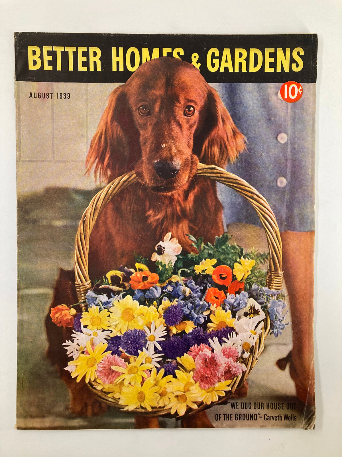 Cover of the Better Homes & Gardens Magazine from August 1939 featuring a dog holding a basket of colorful flowers, with the title "We Dug Our House Of The Ground".