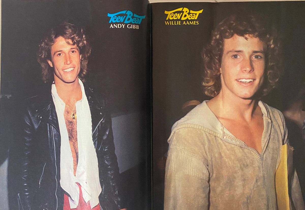 Teen Beat Magazine March 1981 full-page feature of Andy Gibb and Willie Aames, showcasing their popularity as teen idols.