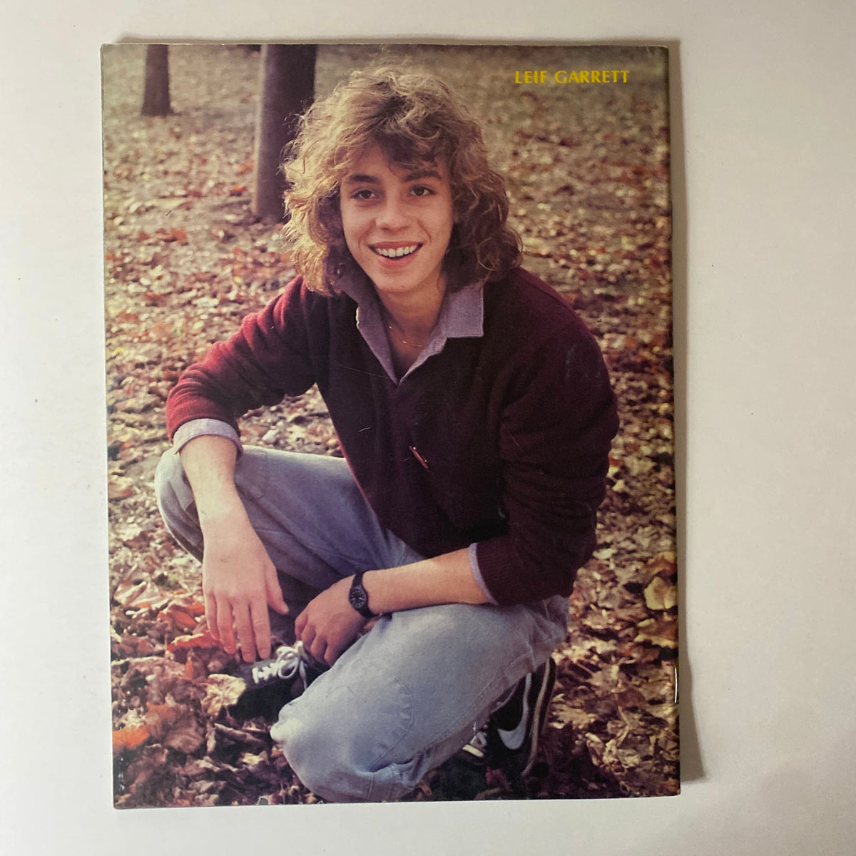 Teen Beat’s Calendar Magazine 1981 featuring Leif Garrett, presenting a candid autumn-themed portrait with natural surroundings.