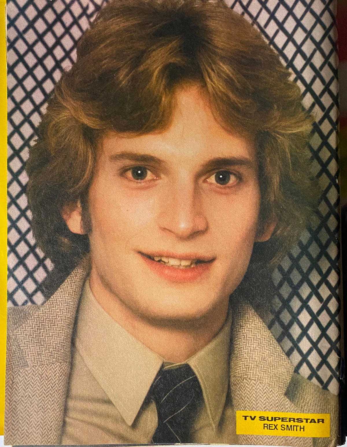 TV Superstar Magazine June 1980 image of Rex Smith, presenting a nostalgic look at this beloved TV star.