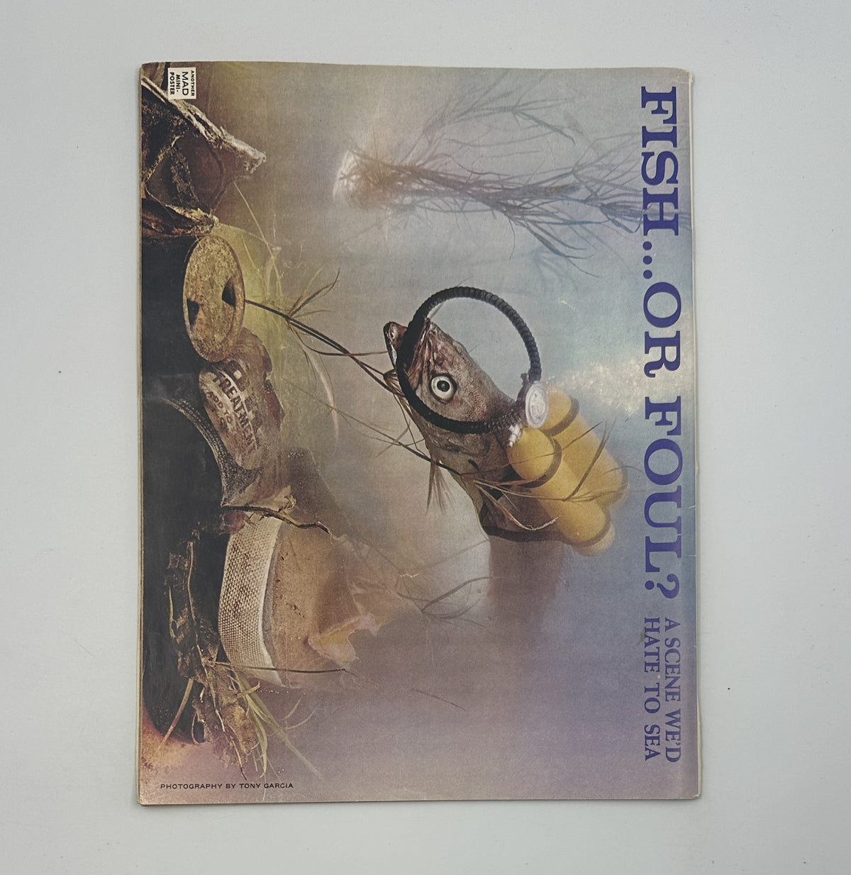 Back cover of MAD Magazine No. 179 December 1975 featuring a humorous image titled 'FISH... OR FOUL? A SCENE WE HATE TO SEE' with artistic photography.