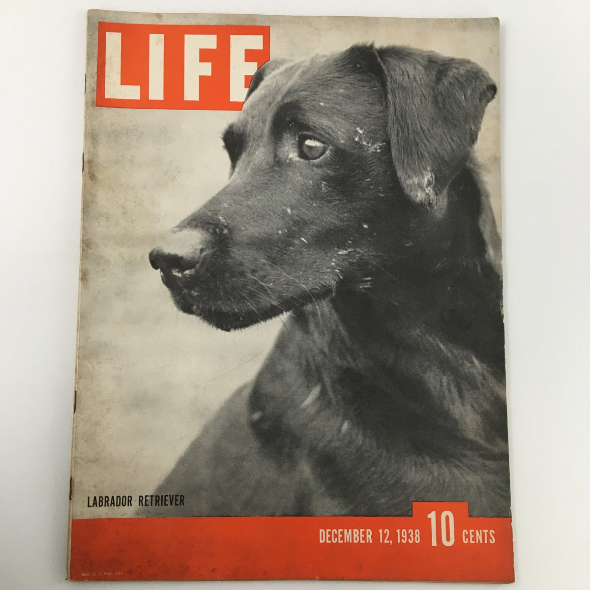 VTG Life Magazine December 12 1938 featuring a close-up of a Labrador Retriever on the cover, highlighting the vintage dog's profile and classic design.