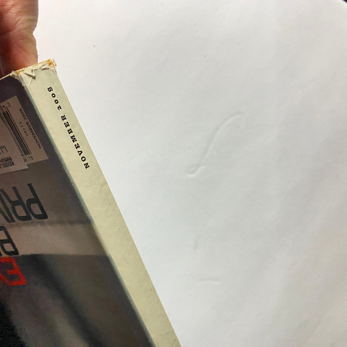 Side view of W Magazine November 2008 edition with the publication date clearly visible, showcasing its vintage appeal.