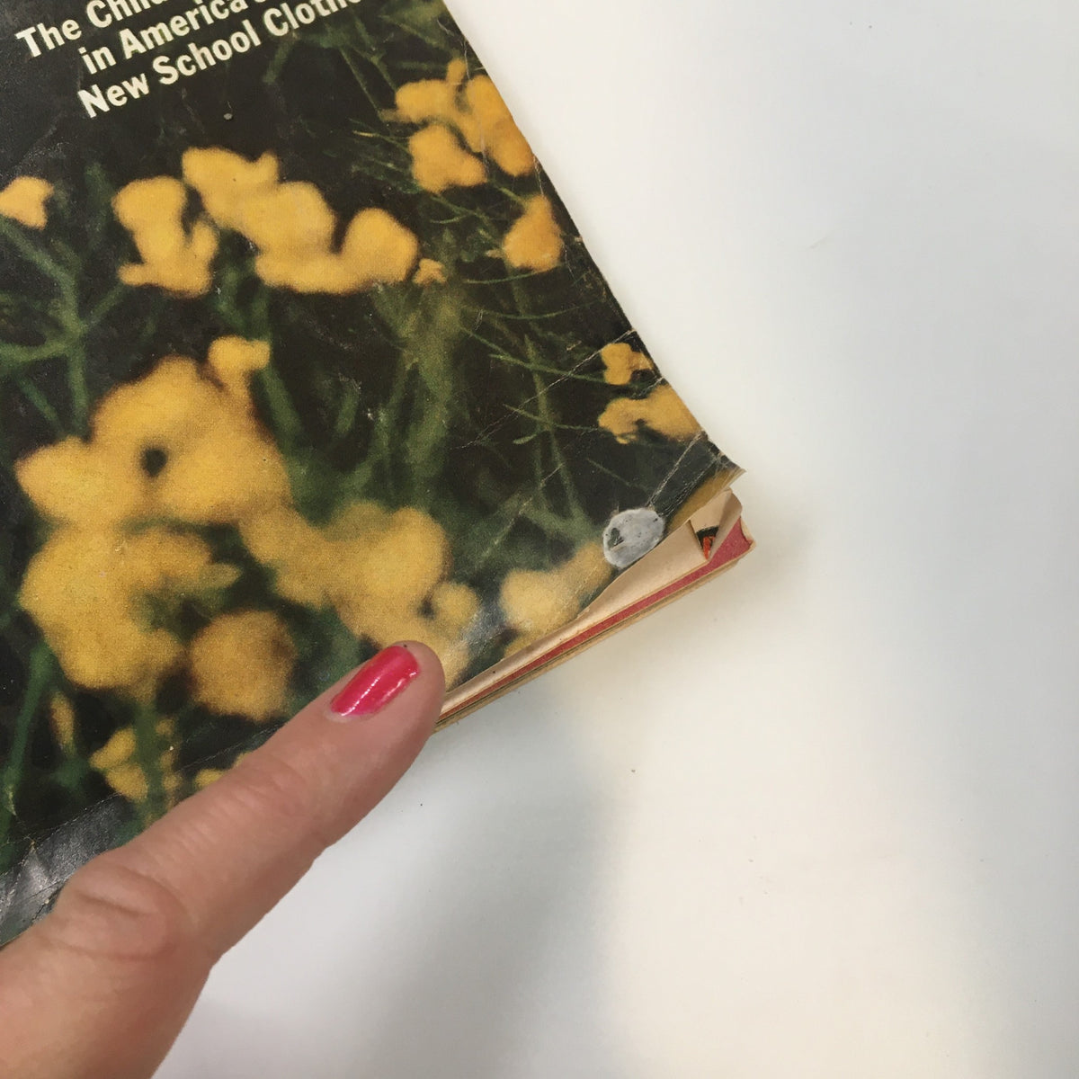 Close-up image of the corner of VTG McCall's Magazine August 1969 showing flower details and the edge of the cover.