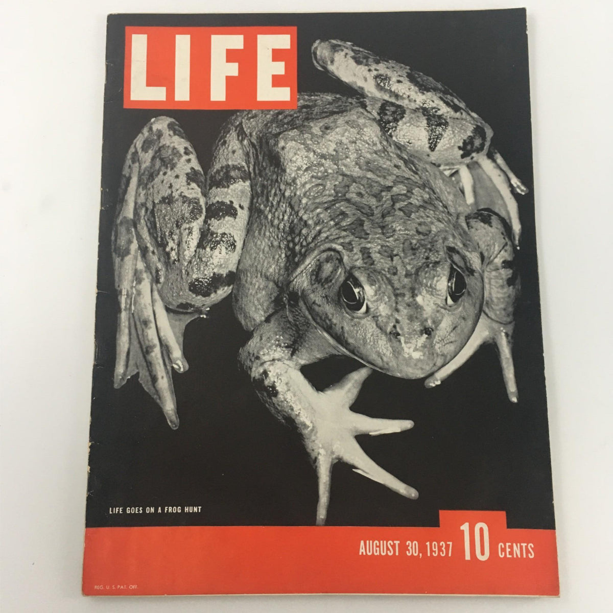 Cover of Life Magazine, August 30, 1937, featuring an image of a frog with the headline 'Life Goes on a Frog Hunt'. This vintage magazine showcases a unique collectible theme and is emblematic of American culture in the late 1930s.