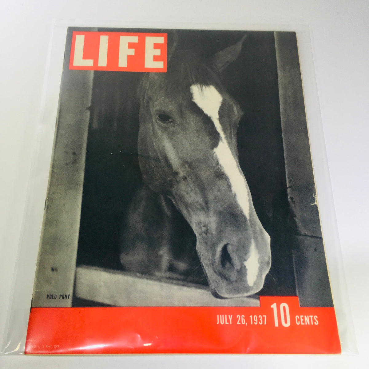 Vintage Life Magazine: July 26 1937 featuring a cover image of a Polo Pony, highlighting the elegance of the sport in a historical context.