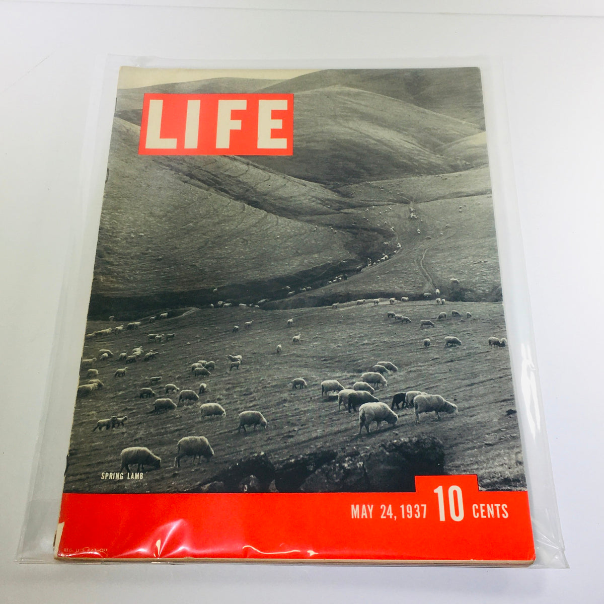 Cover of Vintage Life Magazine dated May 24, 1937 featuring the title Spring Lamb, showcasing a rural scene with sheep grazing on green hills, highlighting vintage magazine design.