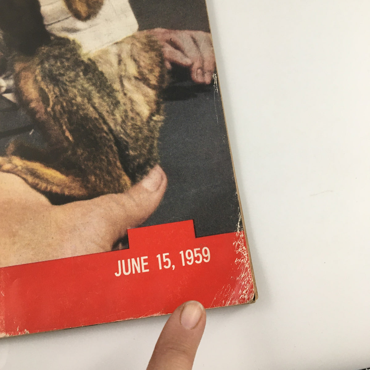 Life Magazine June 15 1959 Issue - Where Does The Money Go? Family Finance Insights