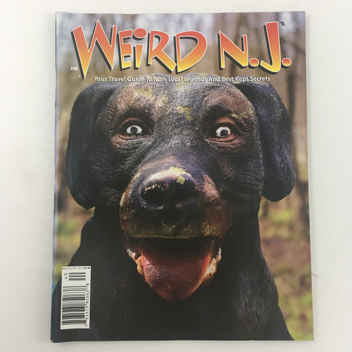Cover of Weird N.J. Magazine May-October 2013 #40 featuring a black dog with expressive eyes, serving as your travel guide to New Jersey's local legends and best-kept secrets.