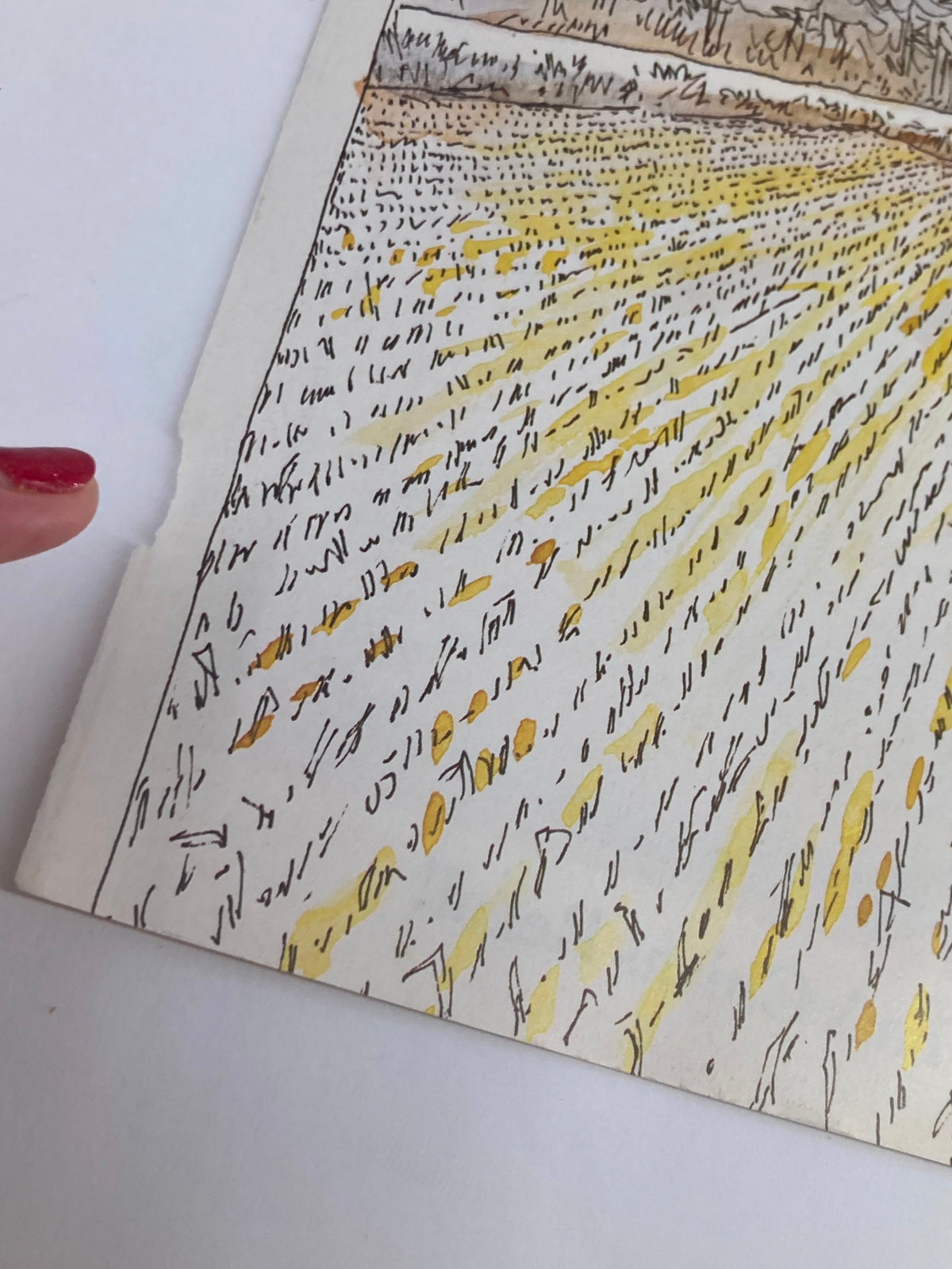 COVER ONLY The New Yorker November 30 1981 depicting 'Rice Fields' by Arthur Getz, emphasizing details of the vintage cover with a close-up of the illustrated rice fields.